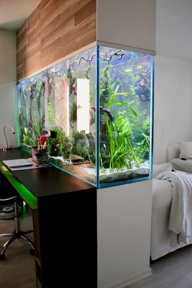 modern fish tank decor
